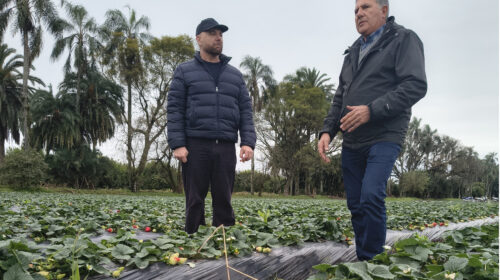 » TIERRAS», NUEVA TEMPORADA, CON GERMÁN MARTITEGUI DESDE ESTE SÁBADO A LA MEDIANOCHE POR TELEFE
