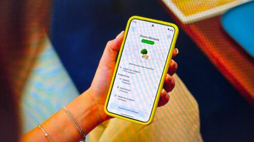 Mercado Pago activa un “modo calle” para el dinero digital (oculta saldos en dólares y bloquea operaciones fuera de casa)